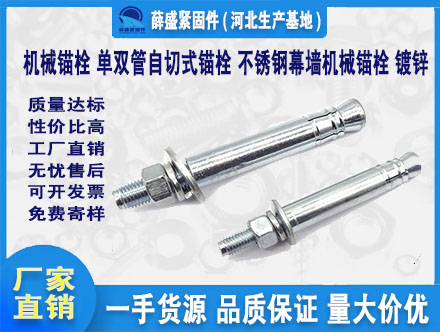 機械錨栓 單雙管自切式錨栓 不銹鋼幕墻機械錨栓 鍍鋅